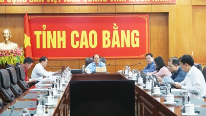 Online Conference on Irrigation Planning of the Mekong River Basin and the Red River Basin