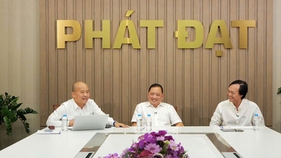 Керівництво Phat Dat стверджує, що вони не причетні до маніпуляцій з акціями.