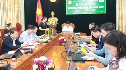 Hương Sơn có thêm 3 sản phẩm OCOP 3 sao