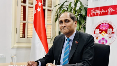Singapore Ambassador: Determined to further develop Vietnam-Singapore relations