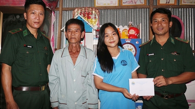 ទំនាក់ទំនងត្រី - ទឹក។