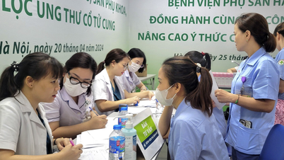 Organize a series of practical activities during Workers' Month 2025