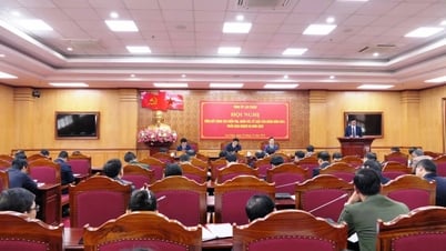 ライチャウ省党委員会は2024年の検査・監督業務を総括し、2025年の任務を展開する