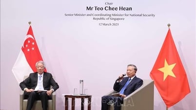 Tổng Bí thư Tô Lâm phát biểu chính sách tại Trường Chính sách công Lý Quang Diệu