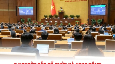 គោលការណ៍ចំនួន ៥ នៃការរៀបចំ និងប្រតិបត្តិការរបស់រដ្ឋាភិបាលមូលដ្ឋានក្រោមច្បាប់ថ្មី។