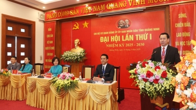 The first Congress of the Party Cell of the Provincial People's Committee Party Committee