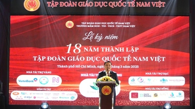 Triết lý giáo dục đề cao tính thực tiễn và sáng tạo của hệ thống Trường Nam Việt
