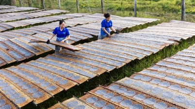 Nhiều sản phẩm nghề truyền thống trên địa bàn huyện Gò Dầu đạt chuẩn OCOP