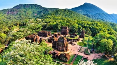 Continue to "revive" My Son temple complex