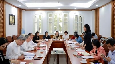 Deputy Minister Trinh Thi Thuy works with Hung Yen province