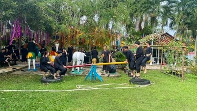 Vinh Long welcomes 75,000 tourists during Tet At Ty