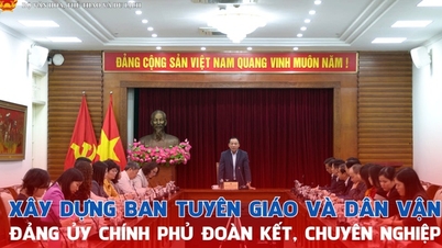 Building a united and professional Government Party Committee's Propaganda and Mass Mobilization Department