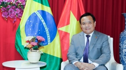 ブイ・ヴァン・ギ大使：2025年BRICS首脳会議におけるベトナムの平和とウィンウィンの協力へのコミットメント