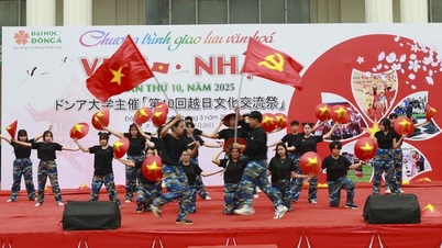 Highlights of the 10th Vietnam-Japan cultural exchange program