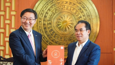 Quang Nam Provincial leaders received a delegation from Yongin City, South Korea