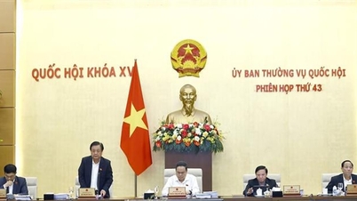 គណៈកម្មាធិការអចិន្ត្រៃយ៍រដ្ឋសភាបានផ្តល់យោបល់លើខ្លឹមសារសំខាន់ៗចំនួន១៣។