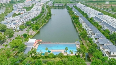 ភាគហ៊ុន Novaland ឡើងដល់កំពូល ដោយសារតែព័ត៌មាននេះ។