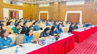 Training conference on Trade Union Law and Social Insurance Law
