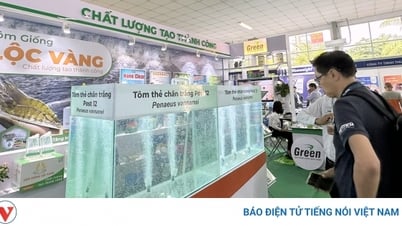 エビ養殖産業は緑の革命段階に入りつつあります。