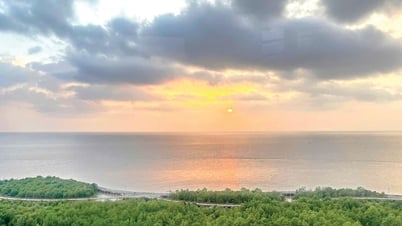 Nắng vàng mùa xuân phương Nam