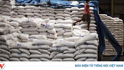 Việt Nam vẫn là nguồn cung gạo nhập khẩu hàng đầu cho Philippines