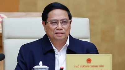 Prime Minister: Strive to have at least 1 million more businesses by 2030