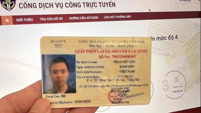Đã có thể đổi bằng lái B1, B2 sang C1 trên Cổng dịch vụ công