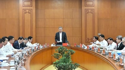 Since the beginning of the year, 4 officials under the Central management have been disciplined.