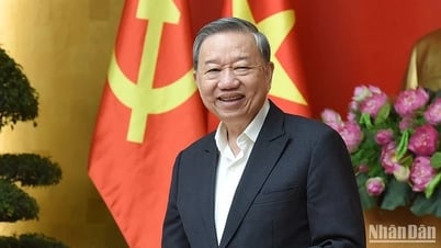 Private Wirtschaftsentwicklung – Hebel für ein prosperierendes Vietnam