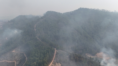Bac Giang: Strengthening management, protection and forest fire prevention and fighting
