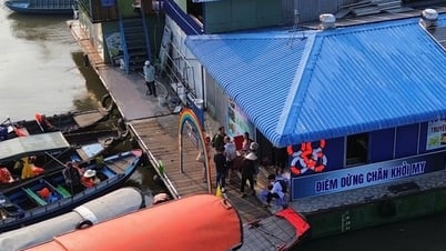 Tourists fall into river at Cai Rang floating market despite suspension order
