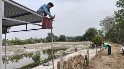 Only 1 case of violation of irrigation works has been handled.