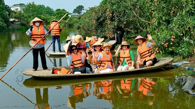 Thanh Ha នឹង​រៀបចំ​ដំណើរ​កម្សាន្ត​មួយ​ចំនួន​ក្នុង​រដូវ​ផ្លែ​ល្ហុង។