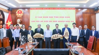 ប្រធានគណៈកម្មាធិការប្រជាជនខេត្ត Pham Anh Tuan ធ្វើការជាមួយសមាគមចាប់ផ្តើមអាជីវកម្មជាតិ