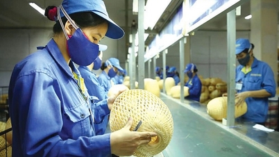 Guiding capital flow for small and medium enterprises
