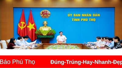 Chủ tịch UBND tỉnh nghe báo cáo công tác tổ chức Giỗ Tổ Hùng Vương - Tuần Văn hóa Du lịch Đất Tổ năm Ất Tỵ