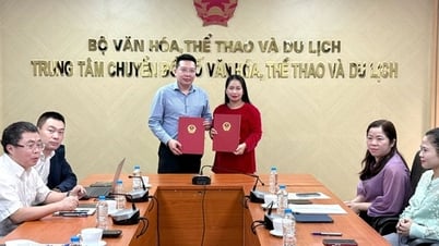 Merging To Quoc Electronic Newspaper into Van Hoa Newspaper