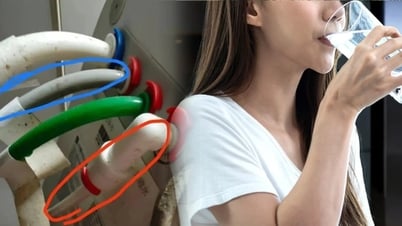 Người phụ nữ sốc khi biết mình uống nhầm nước thải suốt 5 năm