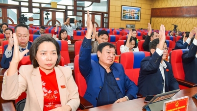 Số lượng đại biểu Hội đồng nhân dân cấp tỉnh không quá 90, cấp cơ sở tối đa 40 theo dự thảo luật mới