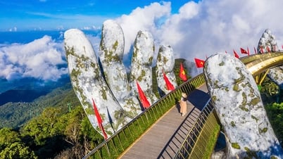 Why Joytime Travel Agency is the Best Choice for Exploring Da Nang?
