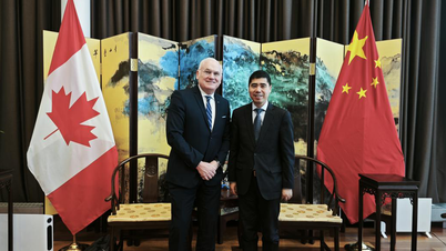China 'extends olive branch' to Canada to ease tariff tensions