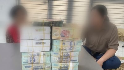 Many Hai Duong residents accuse 'bride export' ring of defrauding hundreds of billions