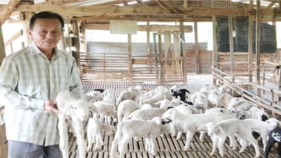 The story of getting rich of farmer San Y Senh