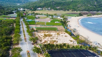 Đẩy nhanh thực hiện các dự án thành phần Nhà máy điện hạt nhân Ninh Thuận 2