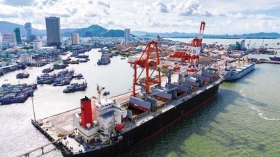 Chật vật “đóng” thương vụ M&A “ngược” tại Cảng Quy Nhơn