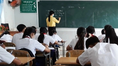 Proposal to demote teachers who violate regulations on extra teaching and learning
