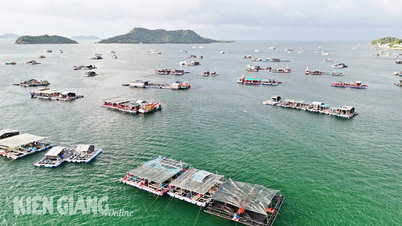 Kien Giang កៀរគរធនធានដើម្បីអភិវឌ្ឍសេដ្ឋកិច្ចសមុទ្រ