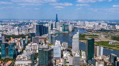 Proposed regulations to terminate the organization of urban government model