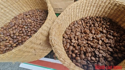 Coffee price today 3/26: Strong increase