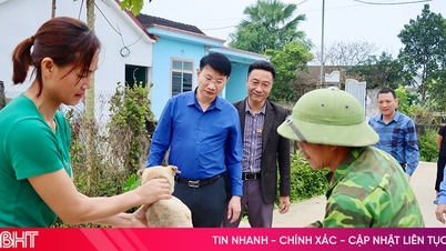 Duc Tho deploys vaccination for more than 99,000 pets in the first phase of 2025